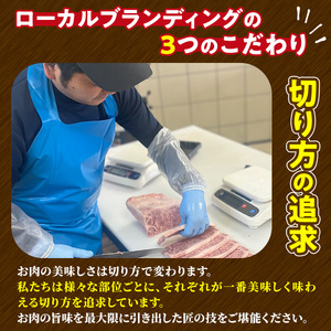 ＜訳あり＞宮崎牛 切り落とし(500g) 牛肉 肉 ブランド牛  冷凍 国産 精肉 お取り寄せ 黒毛和牛 宮崎県 【LJ004】【ローカルブランディング株式会社】