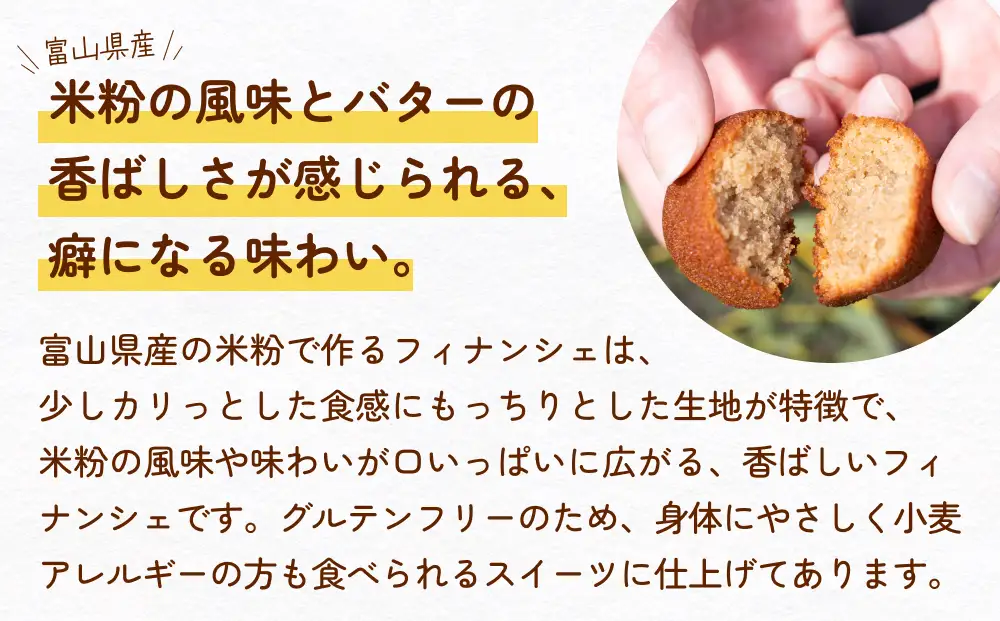 かもめの卵ふぃなん10個入り | 米粉 グルテンフリー フィナンシェ 