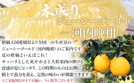 ＜木成り ジューシーゴールド（河内晩柑）ご家庭用 約4kg（S～2L混合）＞ 訳あり 果物 フルーツ かわちばんかん みかん オレンジ 柑橘 食べて応援 特産品 宇都宮物産 愛媛県 西予市 【常温】『2026年6月中旬～8月中旬迄に順次出荷予定』UUB0047
