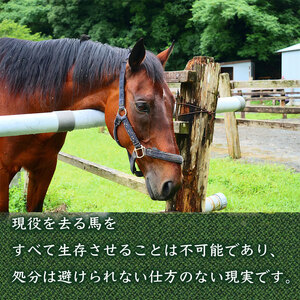 【 引退馬 】 引退馬支援5万円