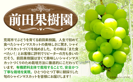 【先行予約】 シャインマスカット 約1.2kg（2房） 《8月下旬-9月末頃出荷》シャインマスカット フルーツ シャインマスカット 期間限定 シャインマスカット 前田果樹園
