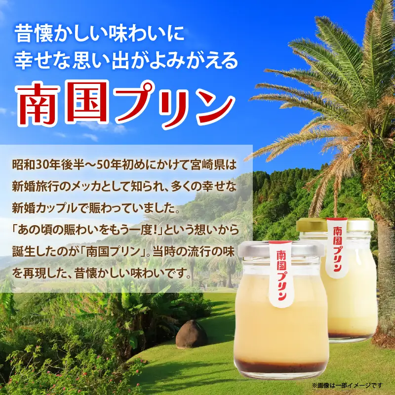 南国プリン食べ比べセット(合計6個) スイーツ 洋菓子 国産_T038-0085