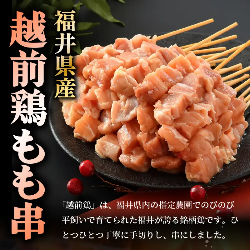 焼き鳥 福井県産越前鶏もも串 25g × 25本（冷凍） 【やきとり 串焼き 鶏肉 とり肉 鶏もも肉 鳥もも肉 モモ肉 もも肉 国産 バーベキュー BBQ】 [A-12423]