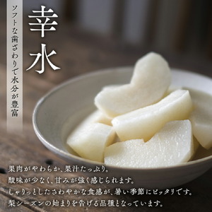 【 JA 北つくば 】 筑西ブランド 認証品 梨 3種 定期便 セット 2026年産 先行予約