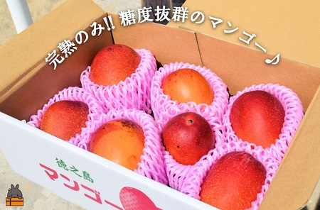 ≪先行予約≫訳あり！【家庭用】徳之島産完熟マンゴー2kg（4～8玉）フルーツ わけあり 訳あり 果物