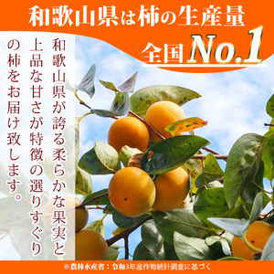 G7109_和歌山秋の味覚 平核無柿（ひらたねなしがき）約2kg 化粧箱入	