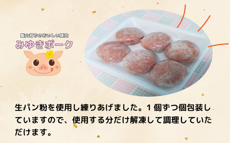 みゆきポーク 手作りハンバーグ （6個入り） （Bo-005）