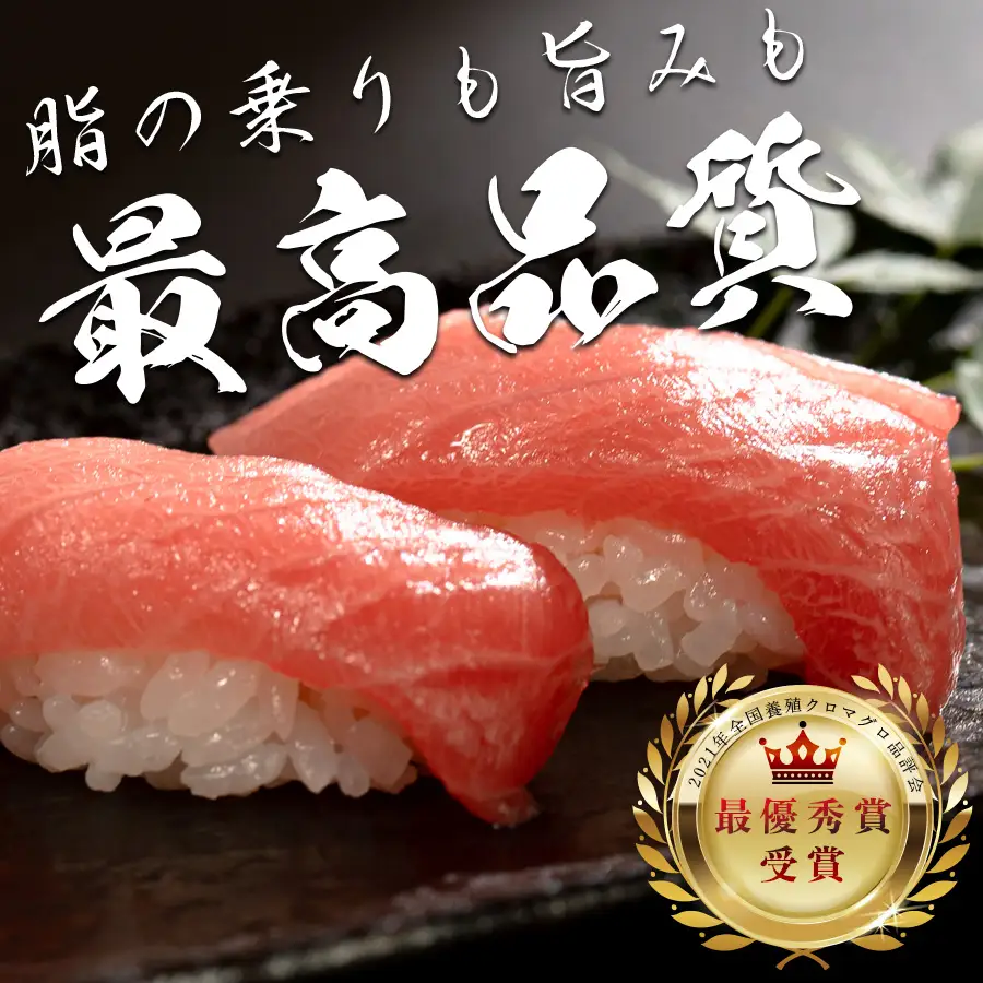 マグロ 訳あり まぐろ 本マグロ 刺身 中トロ 500g 養殖 本まぐろ さしみ 刺し身 ネギトロ ねぎとろ 漬け丼 海鮮丼 まぐろたたき 海鮮セット 柵 年末 年始 正月 高知県 大月町