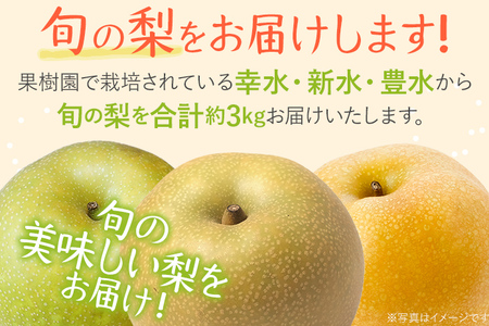 【ふるなびWEEK対象】梨 【先行予約】期間限定 松木果樹園の旬の梨 約3kg  ≪7月下旬～9月上旬に順次出荷予定≫ 幸水 新水 豊水 農家直送 樹上完熟 フルーツ 果物 ギフト 福岡