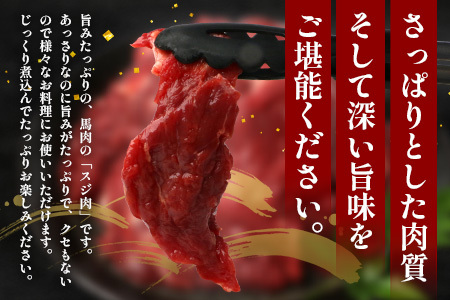 【 定期便 6回 】 熊本県 馬スジ 1㎏（ 500g×2 ） × 6回 【 合計 6kg 】 【 馬肉 すじ肉 大容量 本場 熊本県 馬 赤身 煮込み カレー シチュー 冷凍 真空 熊本 肥育 ヘルシー 赤身 肉 高栄養 肉 】 041-0159