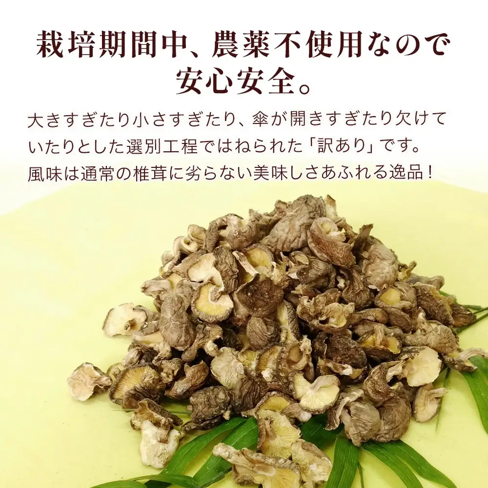 乾燥椎茸 訳あり 椎茸100g×3パック 乾しいたけ | 津久見市