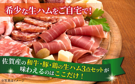 佐賀の生ハム3種で夢の饗宴 全3種（各1パック） / 佐賀県 [41AECT015]