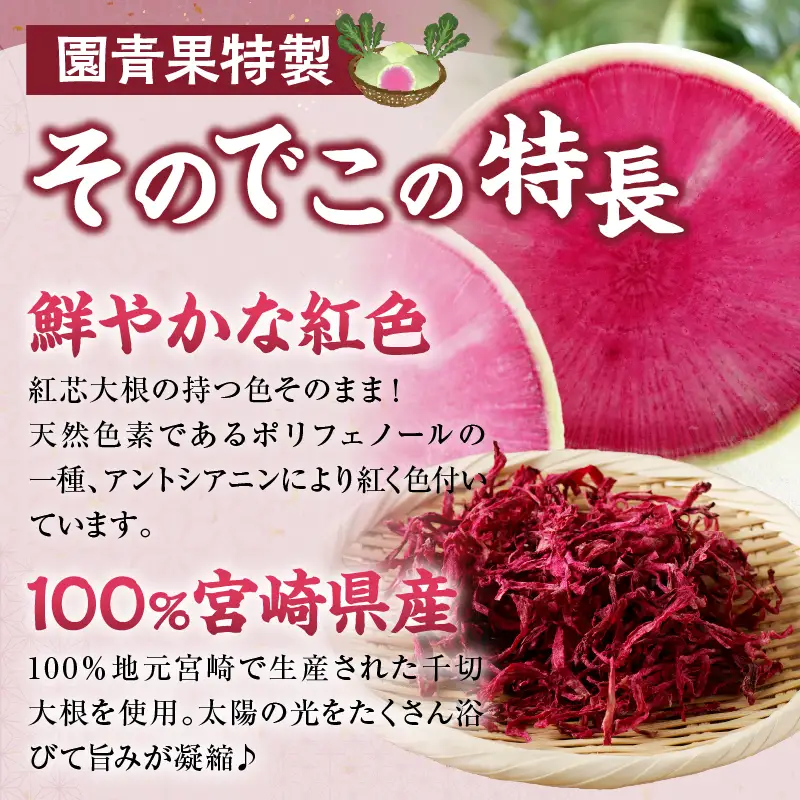 【2週間以内発送】＼ポスト投函／≪宮崎県産≫切干大根(紅芯大根-そのでこ-)計1袋 野菜 加工品 国産_T003-0105