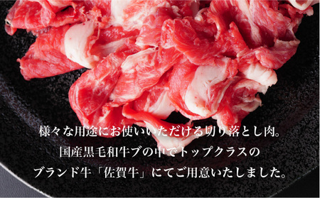 佐賀牛ハンバーグ150g×6個・切り落とし500g