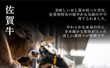 佐賀牛ハンバーグ 計5.4kg (150g×6個×6回)