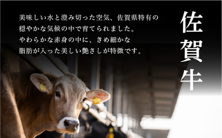 佐賀牛 ロース・カルビ計12kg (1kg×12回)