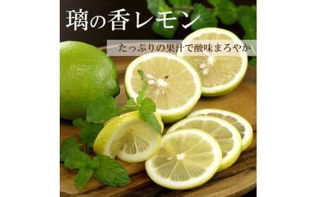 【先行予約】璃の香レモン　約1.5kg　（4?6個）訳ありご家庭用　〈2026年8月下旬?9月下旬頃発送〉  / 果物　柑橘　フルーツ　レモン　高知県土佐市　お取り寄せ 産地直送　おいしい 美味しい　白木果樹園【白木果樹園】 [BQAI023]