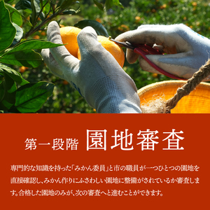有田市認定みかん「未来への虹」至宝(3kg)【日本初自治体認定フルーツ】(B327-2)