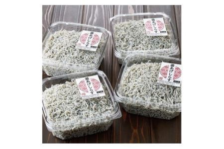 しらす職人が目利きした「釜揚げしらす」１.６ｋｇ(B535-2)