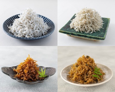 極上しらす三昧セット（4種詰め合わせ）(B676-3)