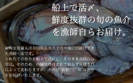 漁師の鮮魚箱（約3kg）(B889-3)