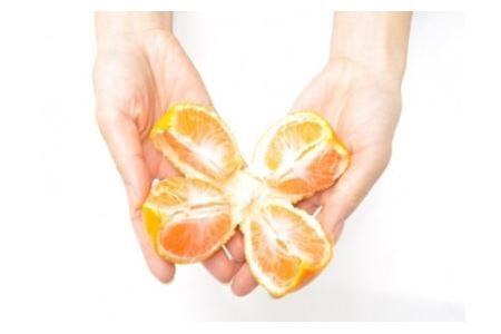 【大粒･2L】有田みかん「未来への虹」（約9kg）(B240-2)