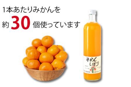 伊藤農園 100%ピュアジュース飲み比べ750ml×9本セット（B79-3）