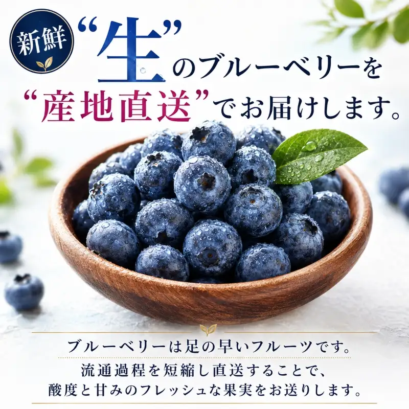 ブルーベリー Lサイズ 150g×5 大粒 生ブルーベリー 藤与果樹園 fujiyoB001