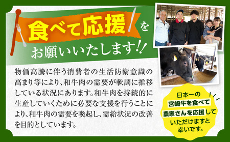 オンライン決済限定【令和8年5月配送】【畜産農家応援】宮崎牛 ロースステーキ (250g×2枚) 500g_CC66-25-05