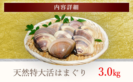 【千葉県ブランド認定】天然特大活はまぐり《3㎏》ギフトBOX付き／ふるさと納税 はまぐり ハマグリ 蛤 貝類 魚介 海鮮 お吸い物 パスタ パエリア お歳暮 贈答 お祝い 千葉県 山武市 SMBO006