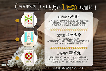 【3か月定期便】山形のブランド米 食べ比べ 毎月 5kg×1袋 1種 計15kg 令和7年産 つや姫 はえぬき 雪若丸 ブランド米 米 山形 庄内平野 コシヒカリの原点、亀の尾発祥の地 庄内 定期【7月中旬発送/入金期限：2026年6月25日】