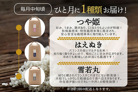 【3か月定期便】吉祥ファーム 庄内町産 おいしい米 食べ比べ 毎月 5kg×1袋 1種 計15kg 令和7年産 金賞受賞農家 つや姫 はえぬき 雪若丸 ブランド米 コシヒカリの原点、亀の尾発祥の地【7月中旬発送/入金期限：2026年6月25日】