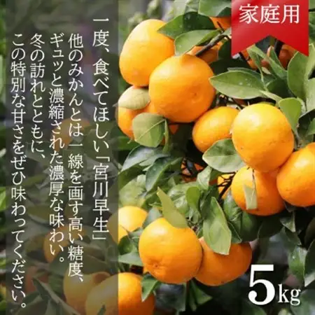 【先行受付】和歌山産　家庭用　宮川早生みかん　約5kg 2S～2Lサイズ【訳ありみかん】【配送不可地域：離島・北海道・沖縄県】【1521690】
