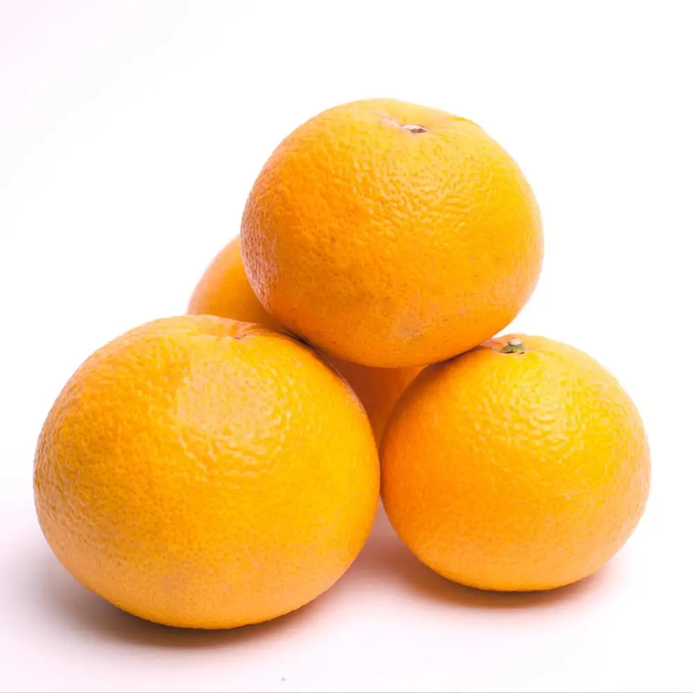 ［先行予約］厳選 樹上完熟はっさく1kg+250g（傷み補償分）［有田の春みかん・五月八朔・木生りはっさく］［光センサー選別］