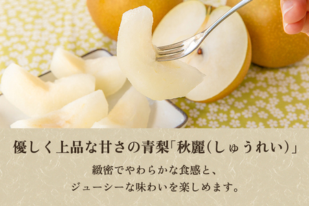 【2026年先行予約】【贈答用】和梨 秋麗 3kg（6～10玉）《9月上旬から順次発送》 果物 なし 梨 フルーツ 新鮮 新潟のフルーツ産地 加茂市 まるさん金子果樹園 梨