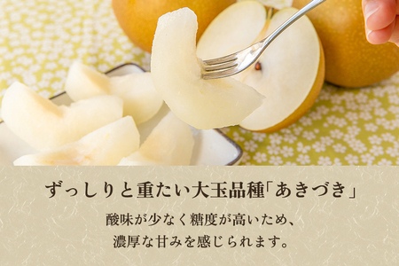 【2026年先行予約】【贈答用】和梨 あきづき 3kg（5～8玉）《9月中旬から順次発送》 果物 なし 梨 フルーツ 新鮮 新潟のフルーツ産地 加茂市 まるさん金子果樹園 梨
