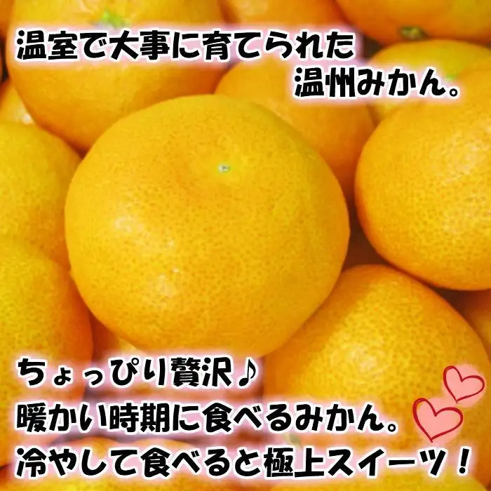 特撰品！和歌山有田の「ハウスみかん」【赤秀】約2.5kg 化粧箱入り（2026年5月以降発送）