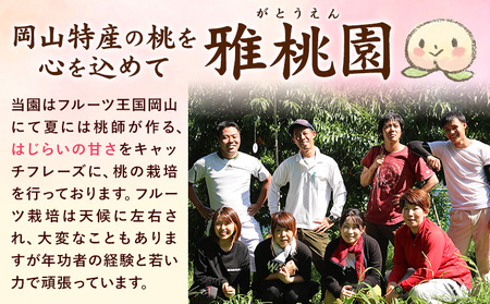 ご家庭用 旬の桃 約1.2kg (4~6玉前後) 株式会社創・和(雅桃園) 