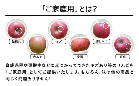 【先行予約】りんご サンふじ ご家庭用 2026年産 約5kg(10~20個程度) 山形県産 tf-risfm5