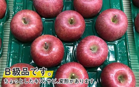 【令和8年産先行予約】 〈訳あり品 家庭用〉 りんご 「サンふじ」 約5kg (12～18玉) パック詰め 《令和8年11月中旬～発送》 『マルタニ農園』 リンゴ 山形県 南陽市 [2159]
