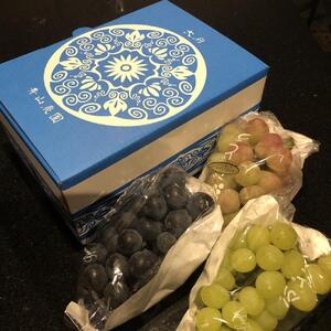 【先行予約】【数量限定】 ぶどう 詰め合わせセット 約2kg 〔2026年8月上旬より順次発送〕