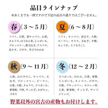 【新鮮野菜】こだわり厳選!旬の野菜セット_野菜   _【配送不可地域：離島・北海道・沖縄県】【1374254】