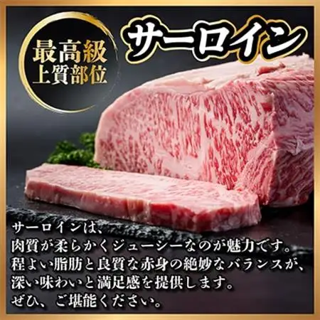 飛騨牛 サーロインブロック 3kg【冷蔵便】_肉 ステーキ 牛肉 ビーフステーキ_【配送不可地域：離島】【1523263】