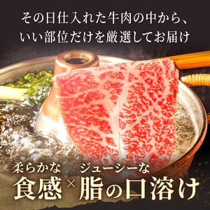 訳あり！【A4～A5】長崎和牛しゃぶしゃぶすき焼き250gと切り落とし500gセット( 牛肉 和牛 おすすめ しゃぶしゃぶ すき焼き 牛肉 冷凍 国産 送料無料 肉 プレゼント お取り寄せ 美味しい )【B2-183】