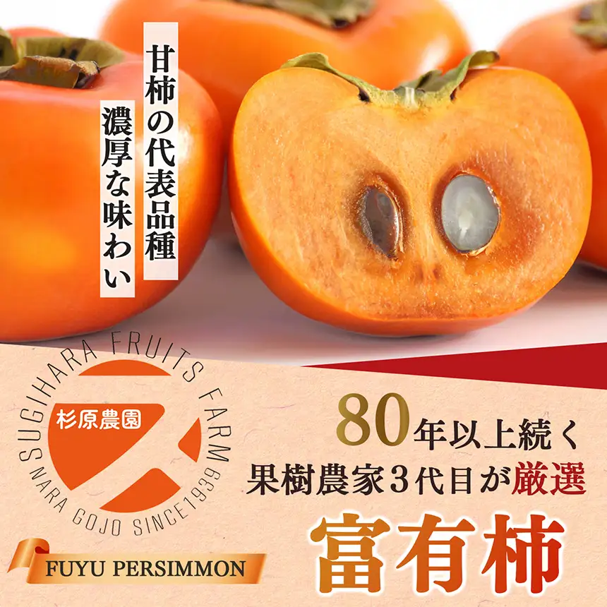 貯蔵 富有柿 12 個～14 個 L～2L サイズ | 果物 柿 