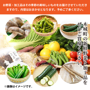 木城町産農産物と加工品セット_K04_0001_3