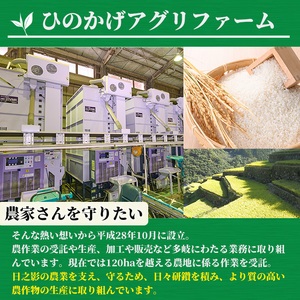 ＜令和7年産＞＜数量限定・全6回・定期便＞宮崎県日之影町産 ヒノヒカリ(総量30kg・5kg×6回) 米 精米 国産 ごはん 白米 【AF005】【株式会社ひのかげアグリファーム】