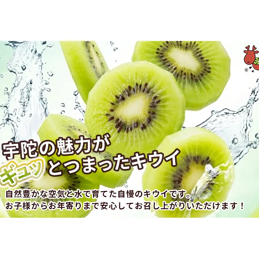＜2026年12月～3月順次発送＞ こだわり プレミアムキウイフルーツ Mサイズ 17個×2箱入 追熟処理済／ ふるさと納税 キウイ キウイフルーツ ギフト 栄養 果物 お土産 化学肥料不使用 特別栽培 塩 奈良県 宇陀市 やまとファームJAPAN