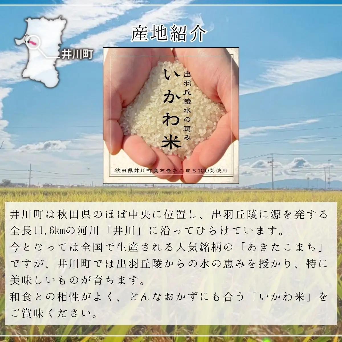 【令和8年産 新米 先行受付】あきたこまち 精米  10kg 