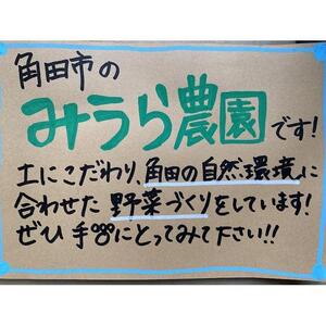 【2026年発送分先行予約】角田産 新鮮！カラフル ミニトマト １kg【2026年6月上旬より順次】